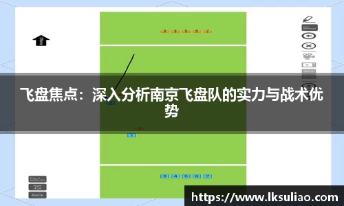 飞盘焦点：深入分析南京飞盘队的实力与战术优势